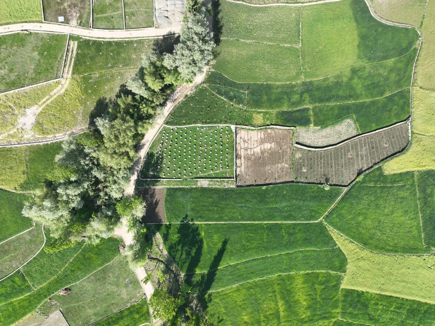 Iliustracinė nuotrauka: Žemės mokesčio sumokėjimas už 2026 m. – iki lapkričio 16 d.: daliai sklypų didėja mokestinė prievolė